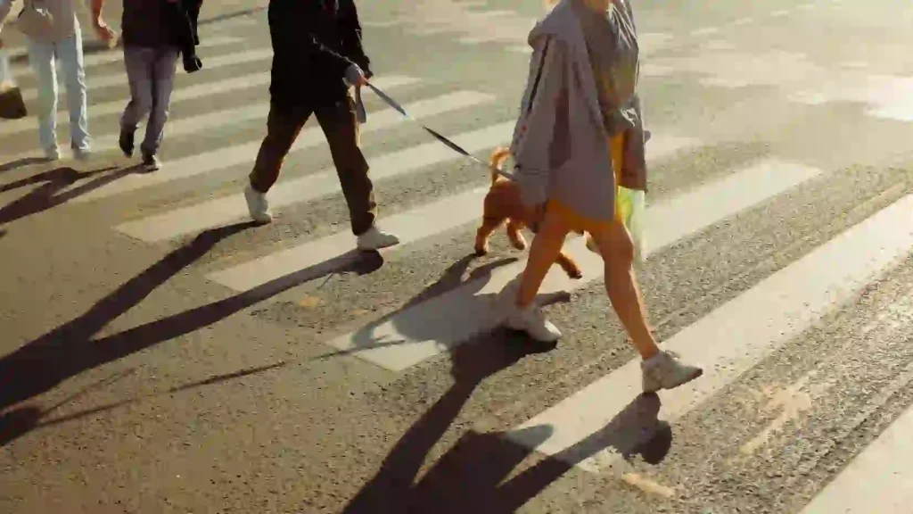 Richmond Hill’s Stroads Are Failing ALL of Us