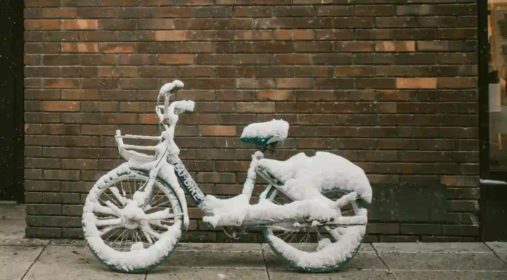 Snow storm coming to Ricmond Hill