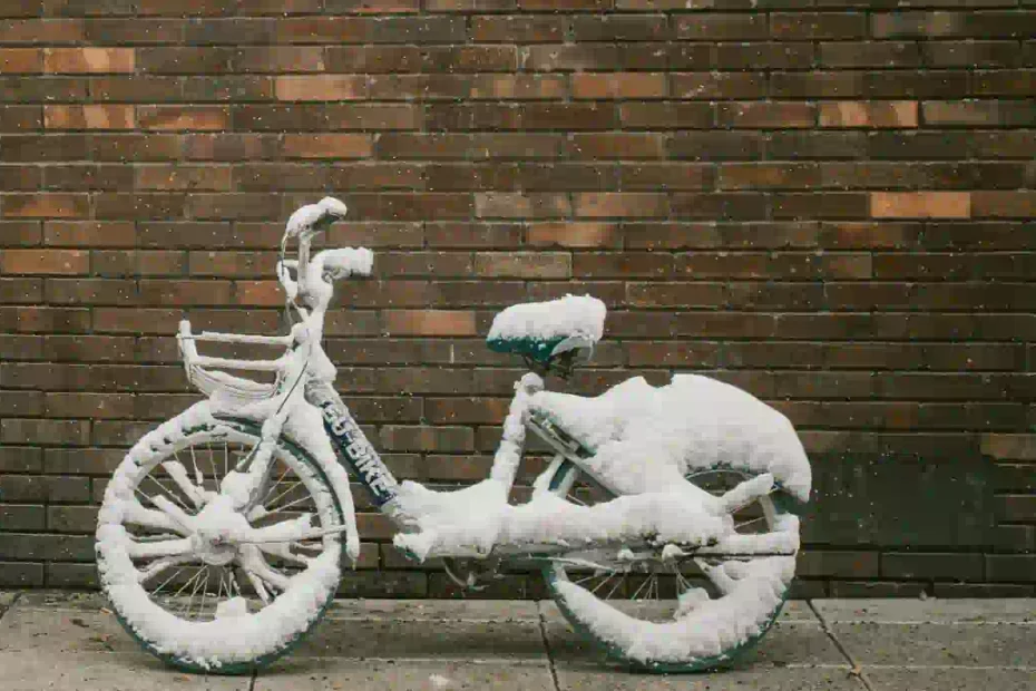 Snow storm coming to Ricmond Hill