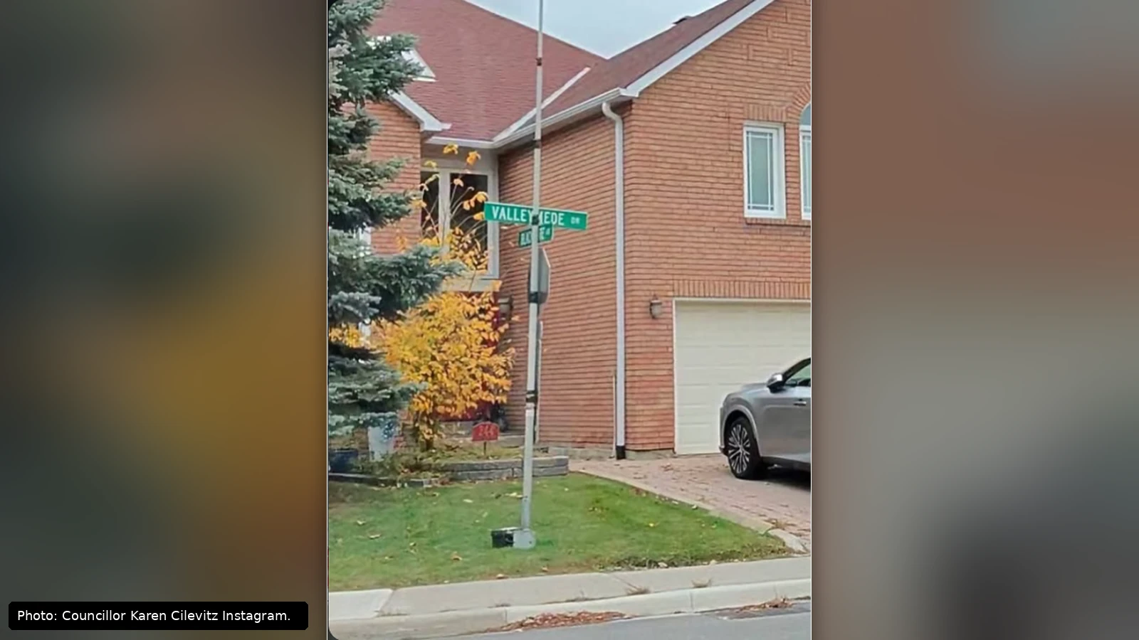 What Are Those Devices Appearing on Richmond Hill Streets?